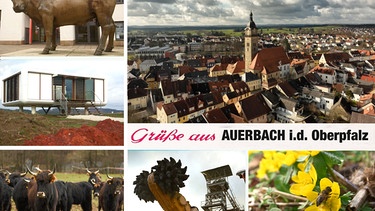Auerbach in der Oberpfalz | Bild: BR