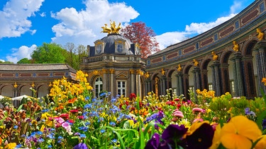 Ein bunter Blumentraum vor der Orangerie in der Bayreuther Eremitage. | Bild: Uwe Fößel, Bayreuth, 07.05.2024
