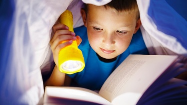 Ein Bub liest ein Buch, unter der Bettdecke, mit Taschenlampe in der Hand | Bild: colourbox.com