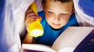 Ein Bub liest ein Buch, unter der Bettdecke, mit Taschenlampe in der Hand | Bild: colourbox.com